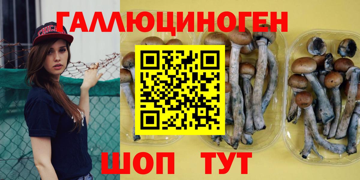 Домодедово  Галлюциногенные грибы MAGIC MUSHROOMS  Вход с VPN 